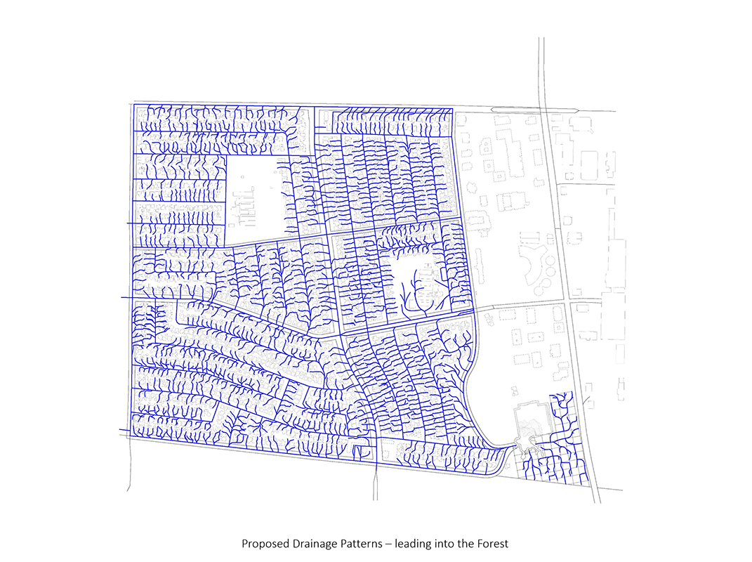 drainage-patterns-leading-to-Forest-in-Torrance-_feral-Office.jpg