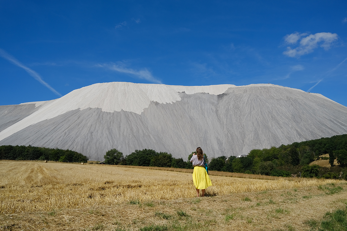 salt-tailings-feral-office.jpg