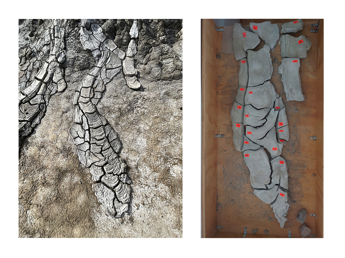 salton-sea-geothermal-field-spillage-sample-feral-office.jpg